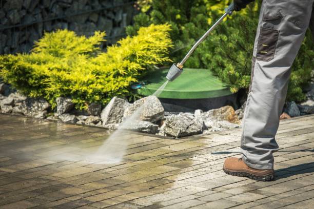 Best Sidewalk and Walkway Cleaning  in Glenwood, AR